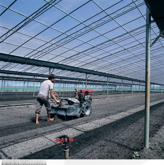 现代农业-机器播种