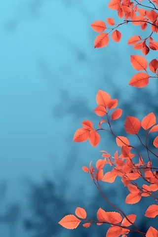 红叶大气简约蓝色背景