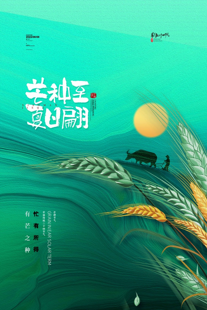 芒种 芒种海报图片