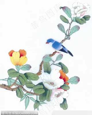 工笔画—茶花