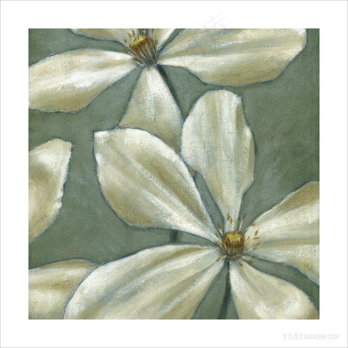 白色花瓣装饰画