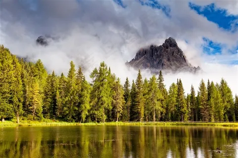 很美丽的云朵和树林