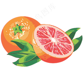 橙子免抠素材 (6)