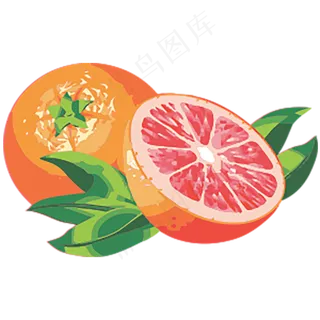 橙子免抠素材 (6)