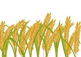 现代农业卡通稻穗