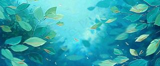 夏天湖面落叶荷花荷叶水面仰视，夏至小暑大暑