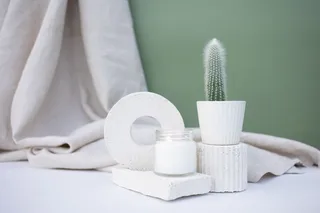 绿色仙人掌仙人球摄影素材