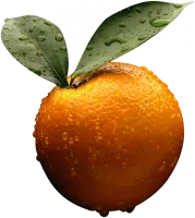 33_orange_PNG796