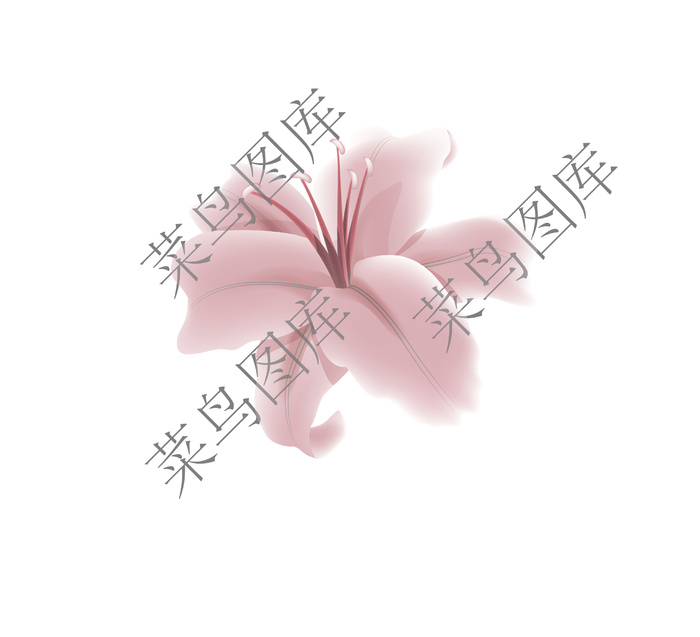 花朵矢量图ai矢量模版下载