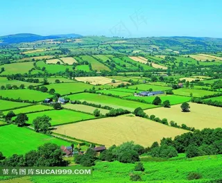 空中俯瞰的片片农田