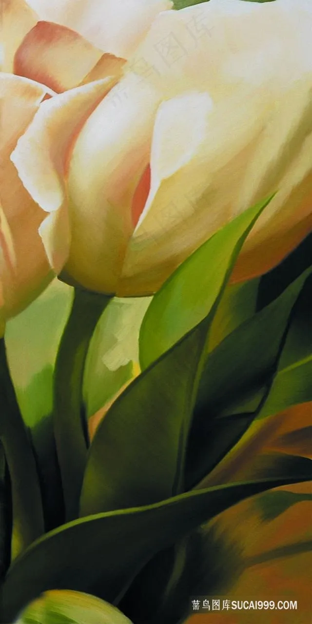 唯美百合花高清油画