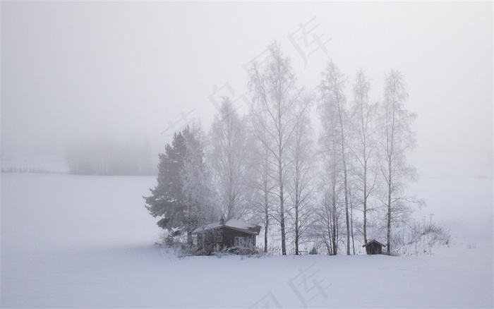 雪中的树林风景图片