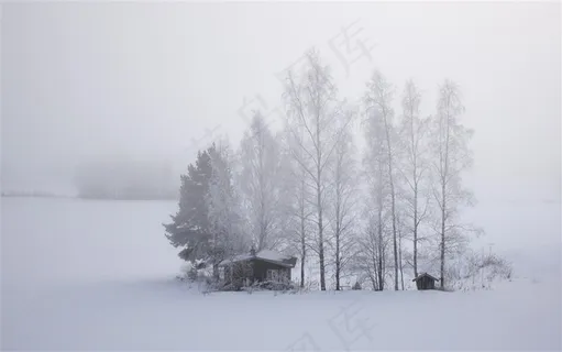 雪中的树林风景图片 雪中的树林风景图片