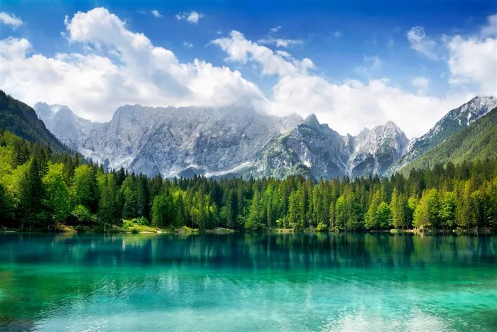 精选高清湖畔森林风景高清图片