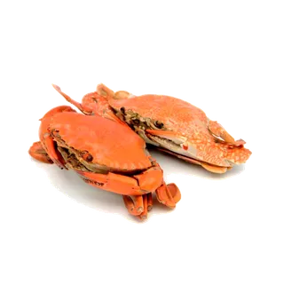 螃蟹(41)海鲜超市商品红酒白底图免抠实物摄影png格式图片透明底
