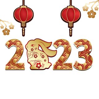 兔年2023年数字挂画