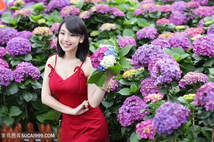 绣球花丛红色裙子清纯面庞性感美女