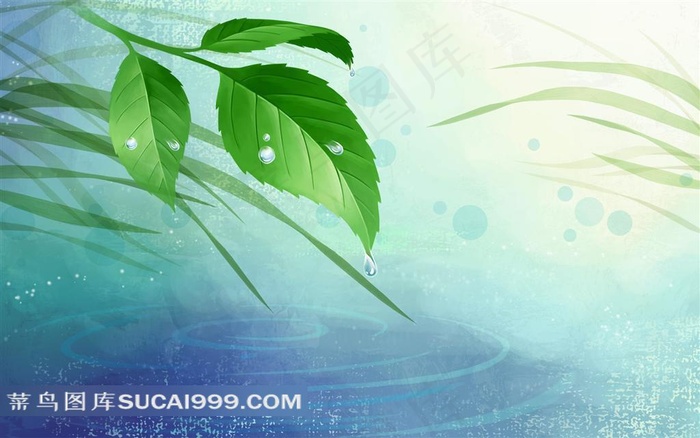 树叶和水珠素材图片