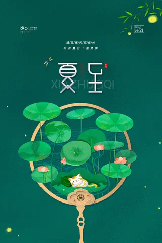 简约传统24节气夏至节气海报