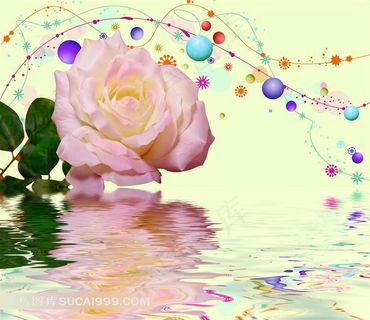 装饰画背景画无框画玫瑰花