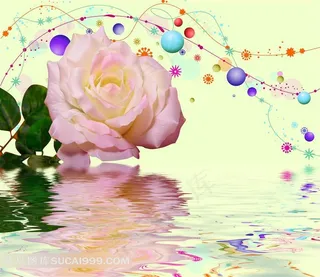 装饰画背景画无框画玫瑰花