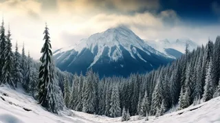 冬季雪景白雪雾凇覆盖摄影图 