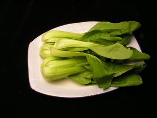  油菜   