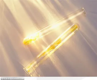 实验室设备-倒放的试管