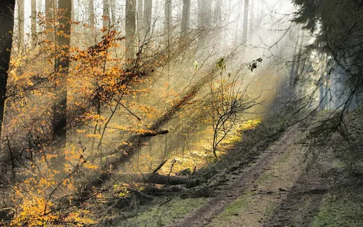 图片素材背景怀旧效果