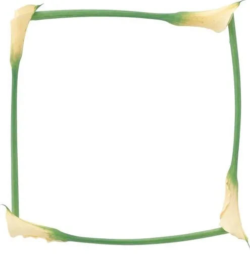 花框 PNG免抠(1400x1447)