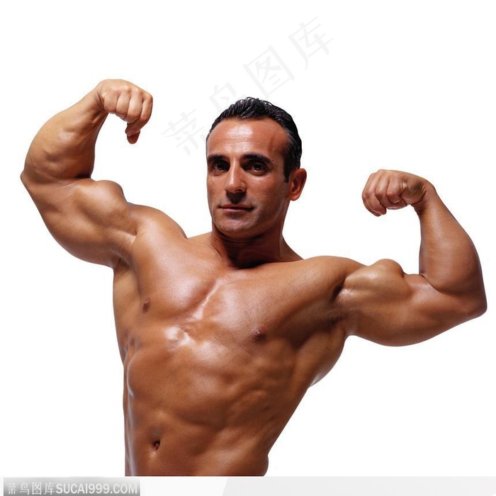 男性健美系列25