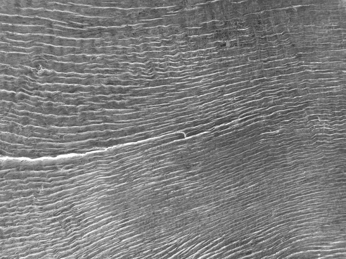 灰色背景图片下载