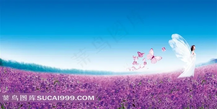 薰衣草天使蝴蝶高清图片