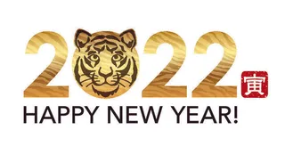 2022创意艺术字体新年虎年圣诞节数字立体质感文字AI矢量设计素材