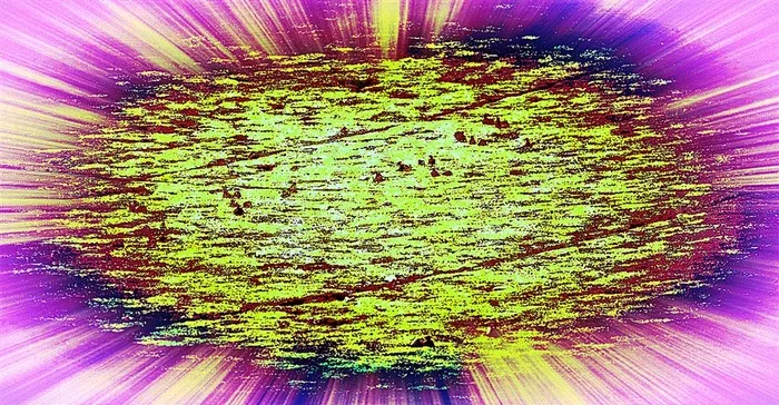 梦见奇特幻境