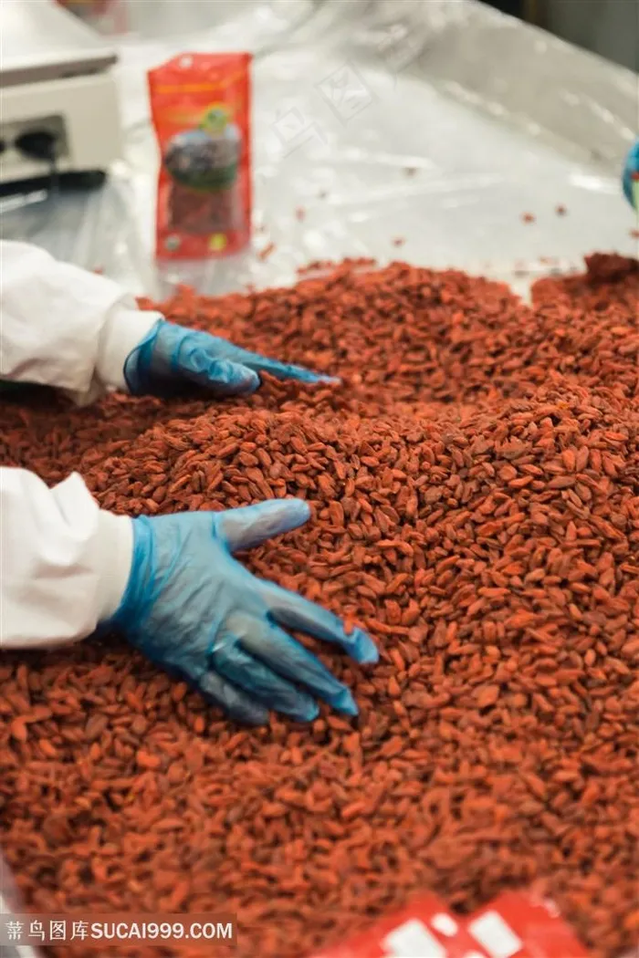 正在挑拣枸杞干的工人