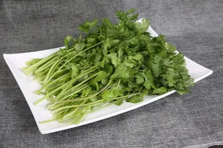 火锅菜品配菜香菜青菜时蔬