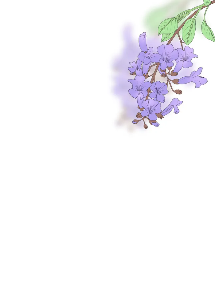 紫色泡桐花画册背景图