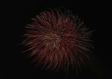 烟花图片