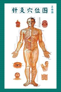 针灸穴位图图片