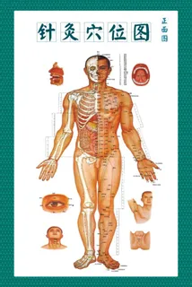 针灸穴位图图片