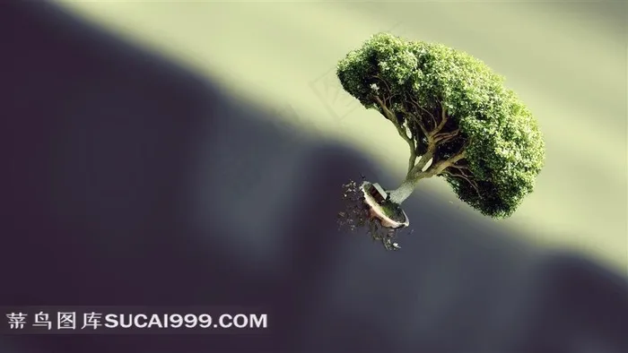 超大尺寸-坠落的大树模型摄影高清壁纸素材