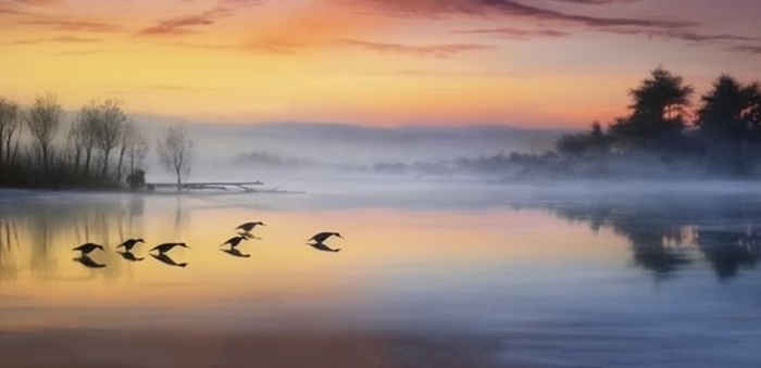 夕阳湖面倒影风光背景(1584x768)