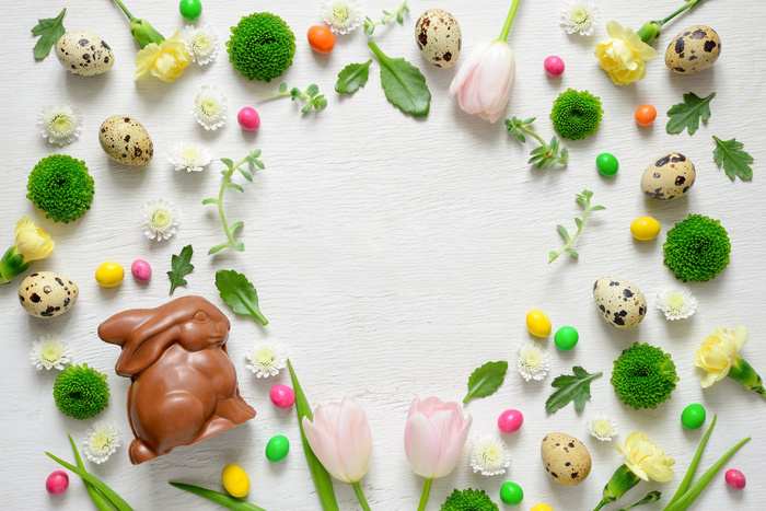 复活节贺卡的背景。春天的装饰元素和花卉。春季会议