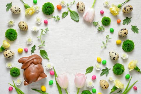 复活节贺卡的背景。春天的装饰元素和花卉。春季会议