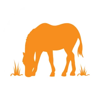 橘色牛吃草剪影