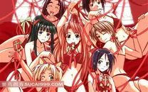 纯情房东俏房客性感美少女