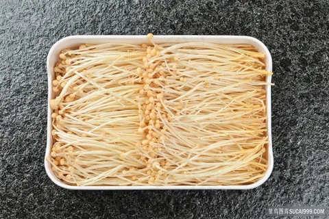 金针菇蔬菜图片