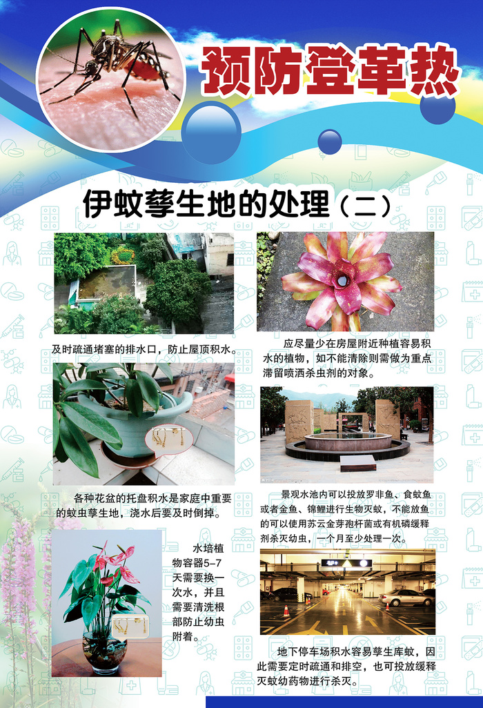 预防登革热宣传系列挂图海报 psd模版下载
