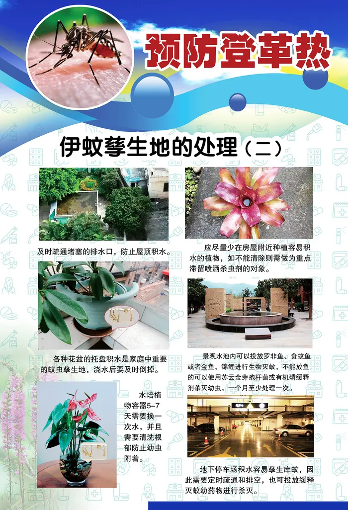 预防登革热宣传系列挂图海报 psd模版下载